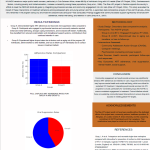 poster presentation
